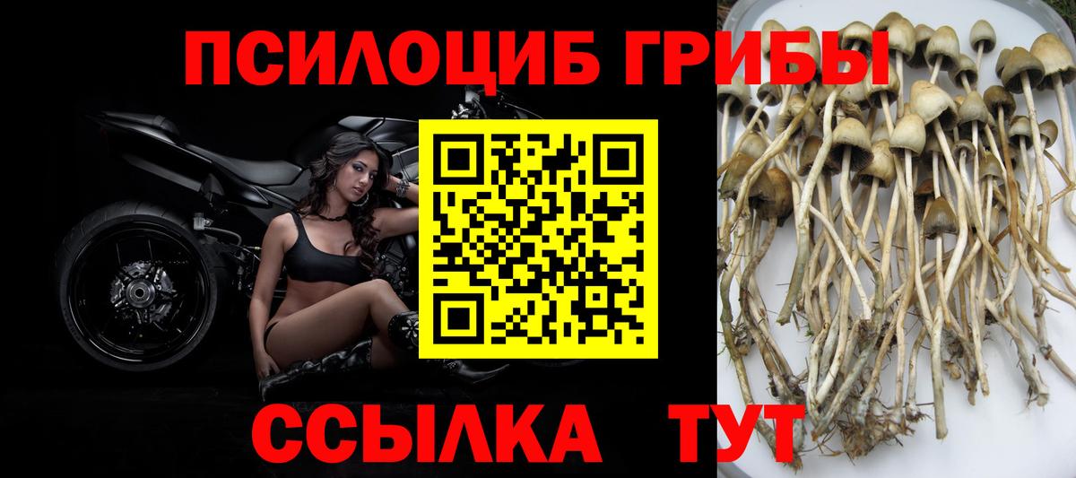 Павловский Посад  Галлюциногенные грибы ЛСД  Вход с VPN 