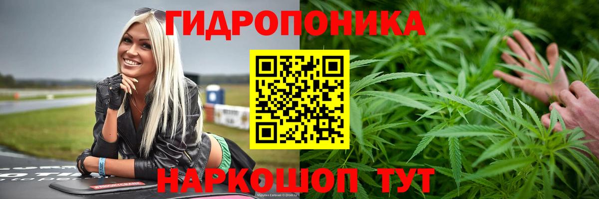 Шишки марихуана MAZAR Павловский Посад